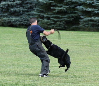 ceridwen zu treuen handen IPO2 RN german shepherd Courage test Brian Harvey